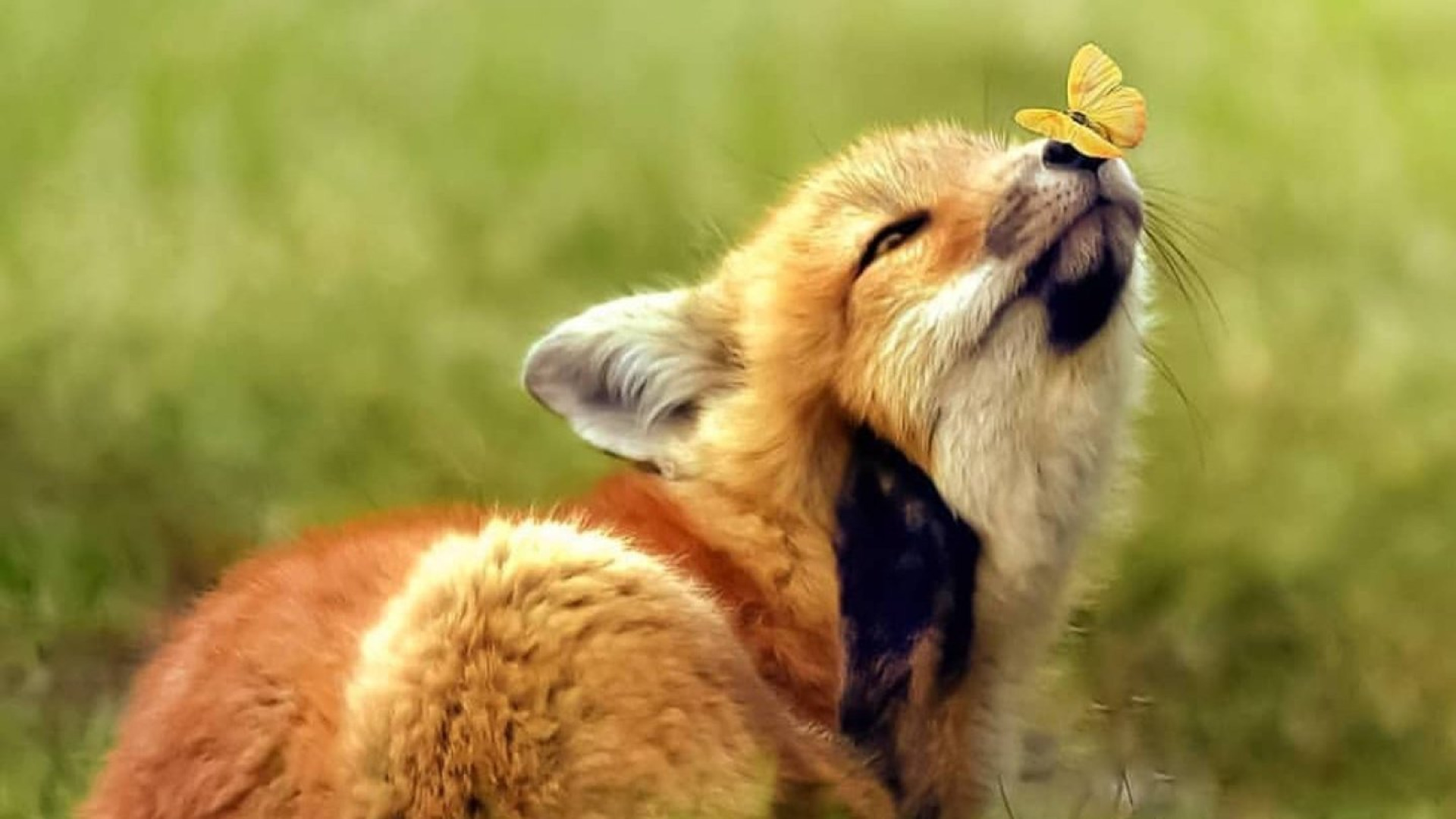 Remote Sensing for Change Detection